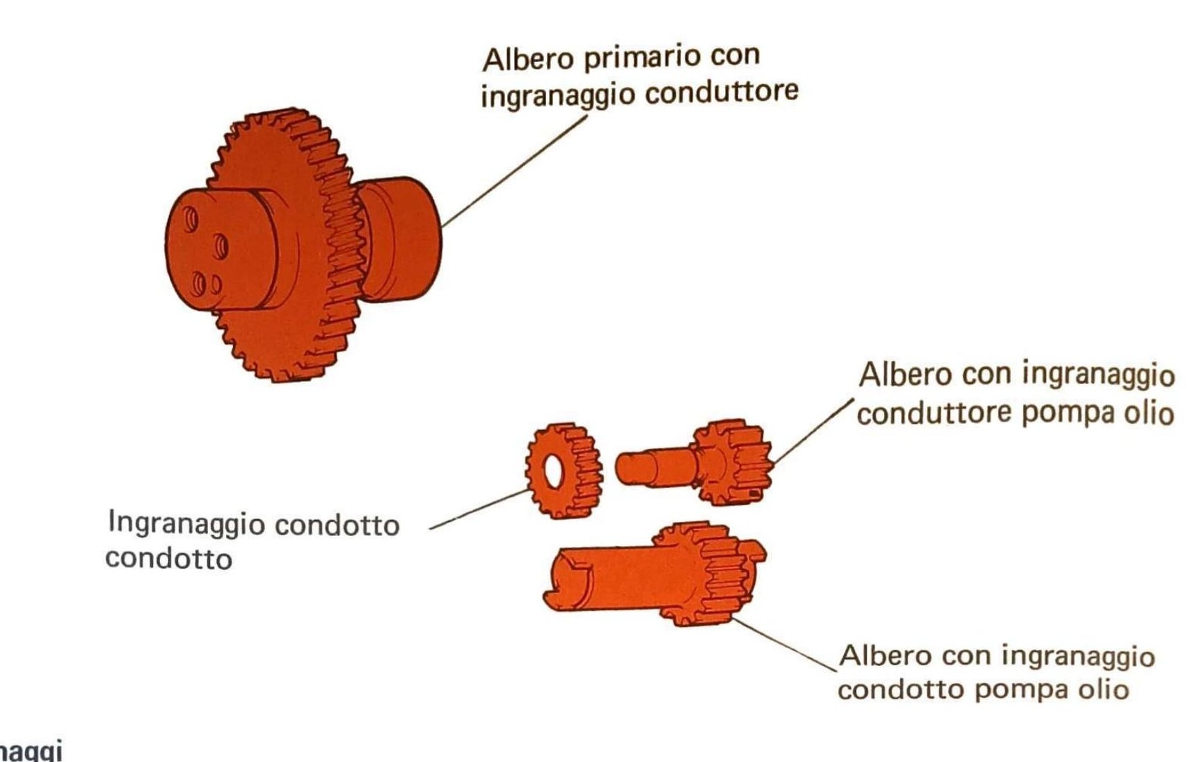 Alberi e ingranaggi pompa olio: albero primario con ingranaggio conduttore, albero con ingranaggio conduttore pompa olio, ingranaggio condotto, albero con ingranaggio condotto pompa olio