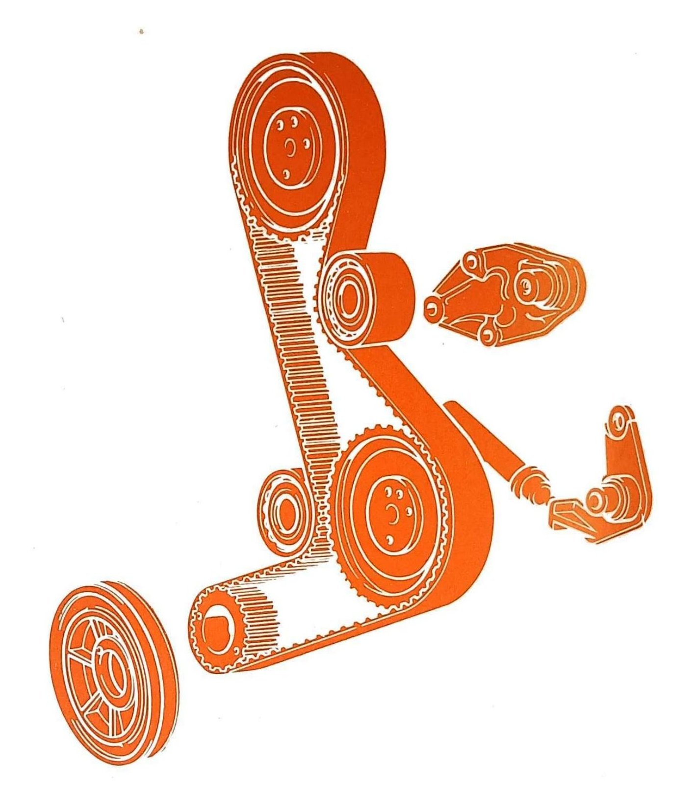 Illustrazione esplosa del gruppo comando distribuzione: cinghia dentata, puleggia albero motore, puleggia albero distribuzione, tenditore e rullo tenditore