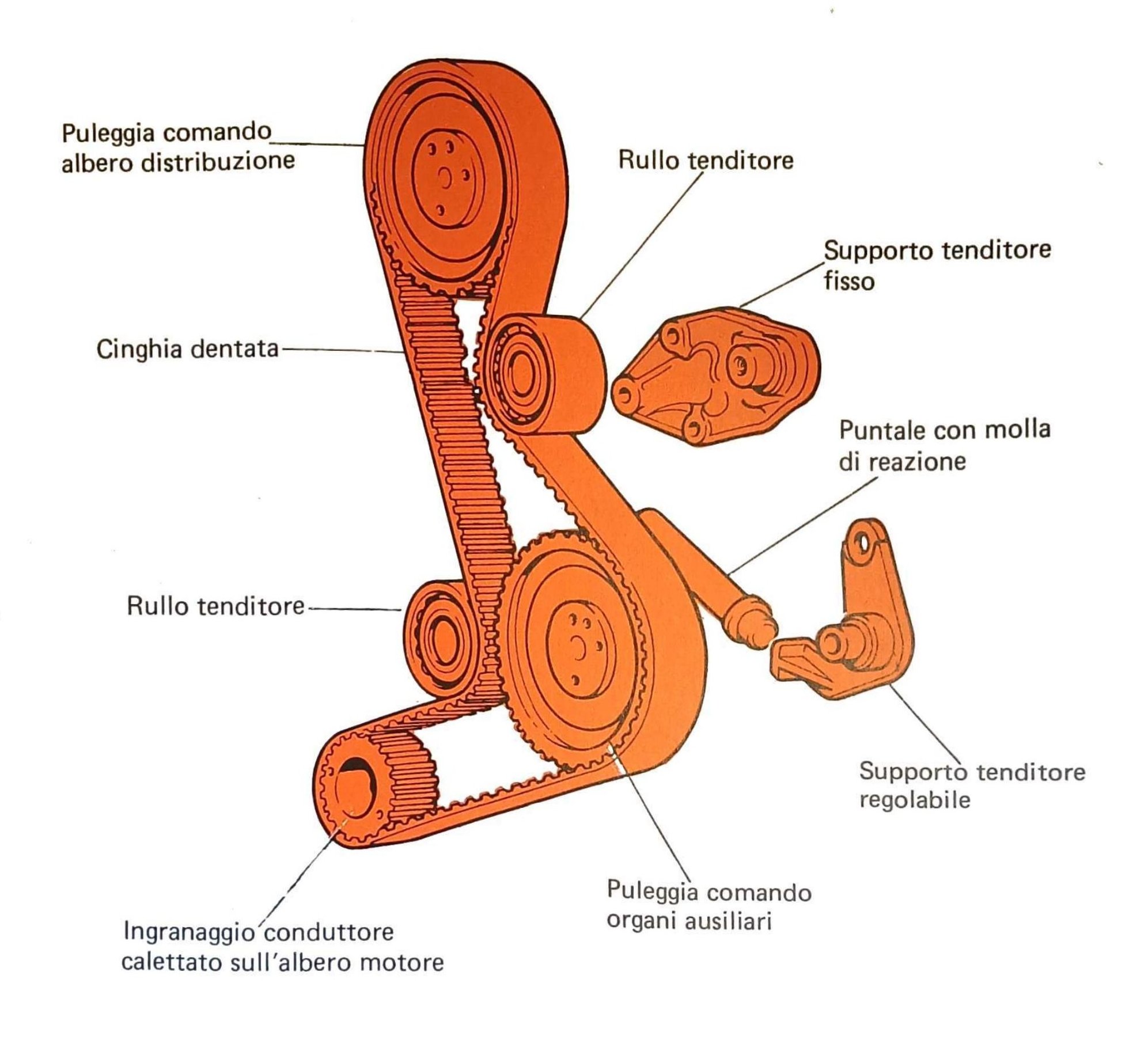 Componenti comando distribuzione con callout: puleggia comando albero distribuzione, cinghia dentata, rullo tenditore (superiore), supporto tenditore fisso, puntale con molla di reazione, supporto tenditore regolabile, puleggia comando organi ausiliari, ingranaggio conduttore calettato sull'albero motore, rullo tenditore (inferiore)