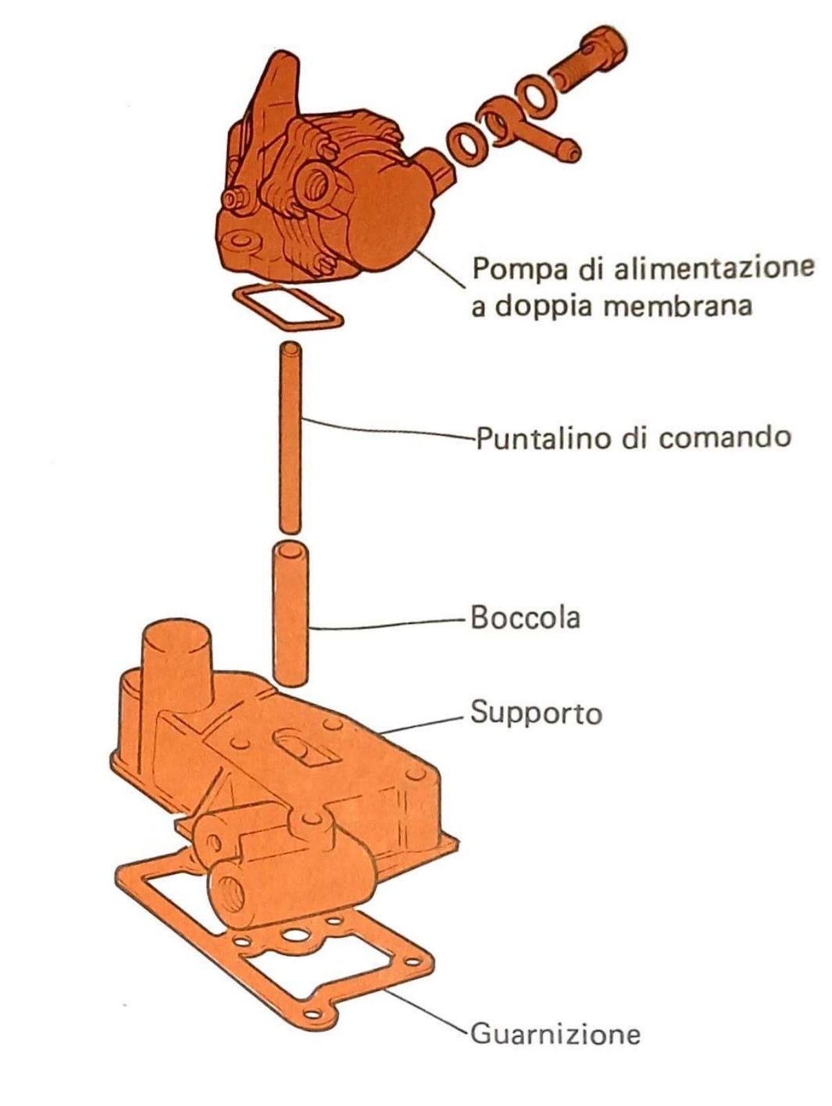 Vista esplosa pompa di alimentazione a doppia membrana con: puntalino di comando, boccola, supporto, guarnizione.