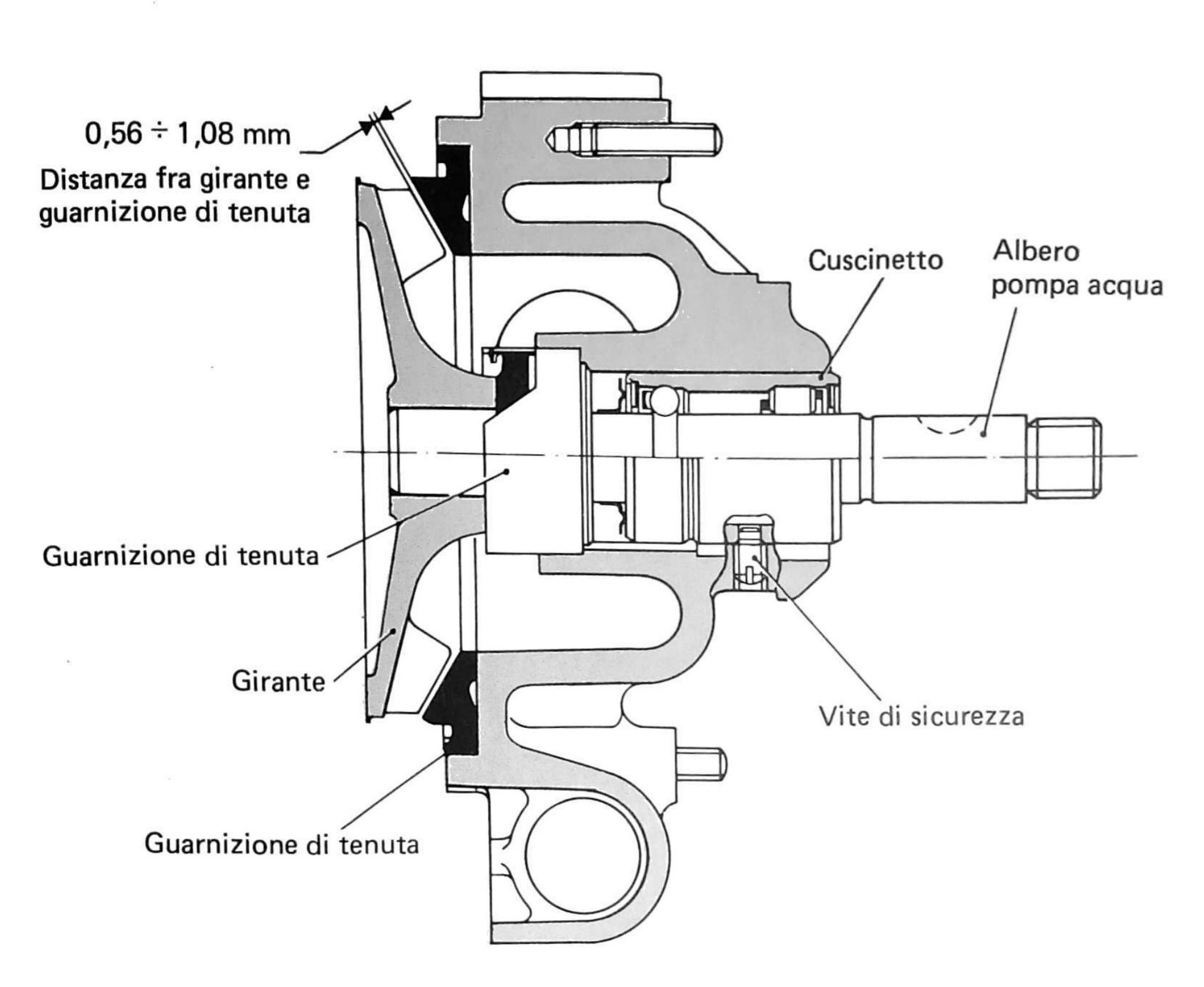 Sezione pompa acqua con callout: distanza fra girante e guarnizione di tenuta 0,56 ÷ 1,08 mm, guarnizione di tenuta (×2), girante, cuscinetto, albero pompa acqua, vite di sicurezza.