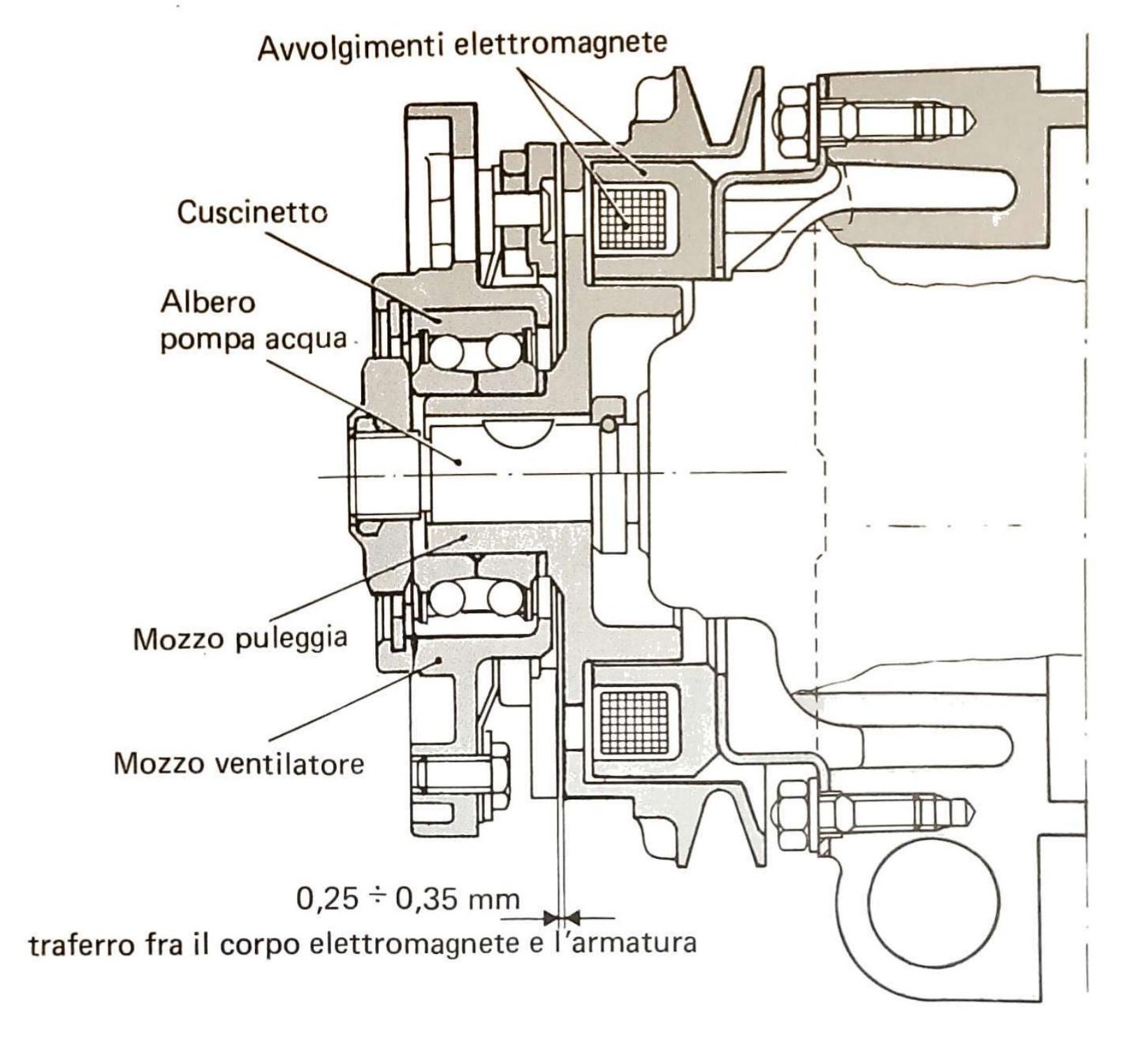 Sezione del giunto elettromagnetico per ventilatore: avvolgimenti elettromagnete, cuscinetto, albero pompa acqua, mozzo puleggia, mozzo ventilatore. Traferro fra il corpo elettromagnete e l'armatura: 0,25 ÷ 0,35 mm.