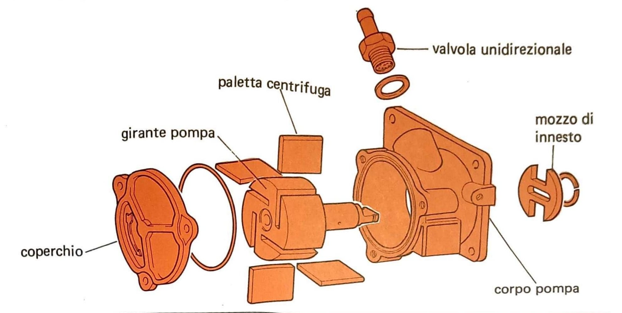 Vista esplosa pompa a depressione a palette centrifughe: coperchio, girante pompa, paletta centrifuga, valvola unidirezionale, mozzo di innesto, corpo pompa