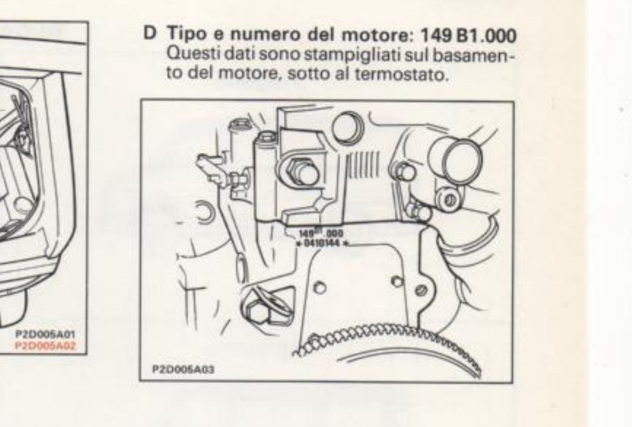 Posizione stampigliatura tipo e numero del motore sul basamento (P2D005A03)