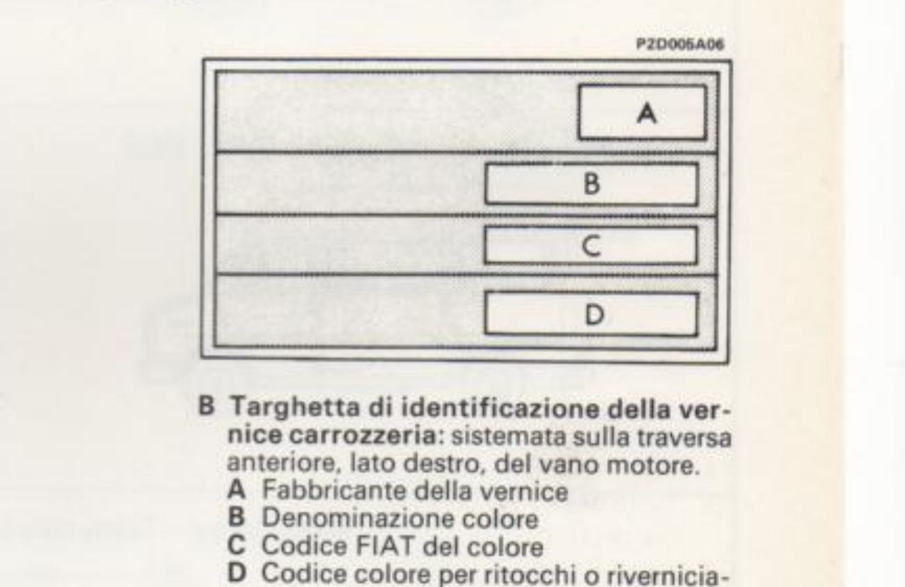 Targhetta di identificazione vernice carrozzeria, righe A B C D (P2D005A06)