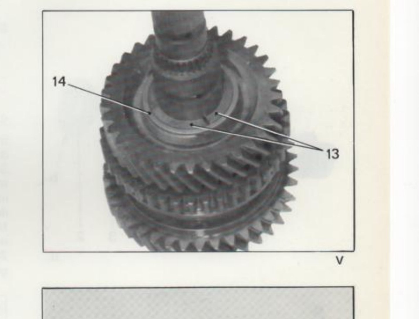 fig. V — Anello di ritegno (14) e semianelli di spallamento (13)