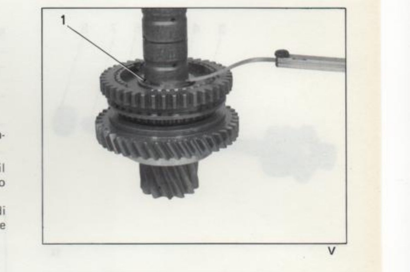 fig. V — Giuoco assiale: anello di ritegno (1) sull'albero secondario