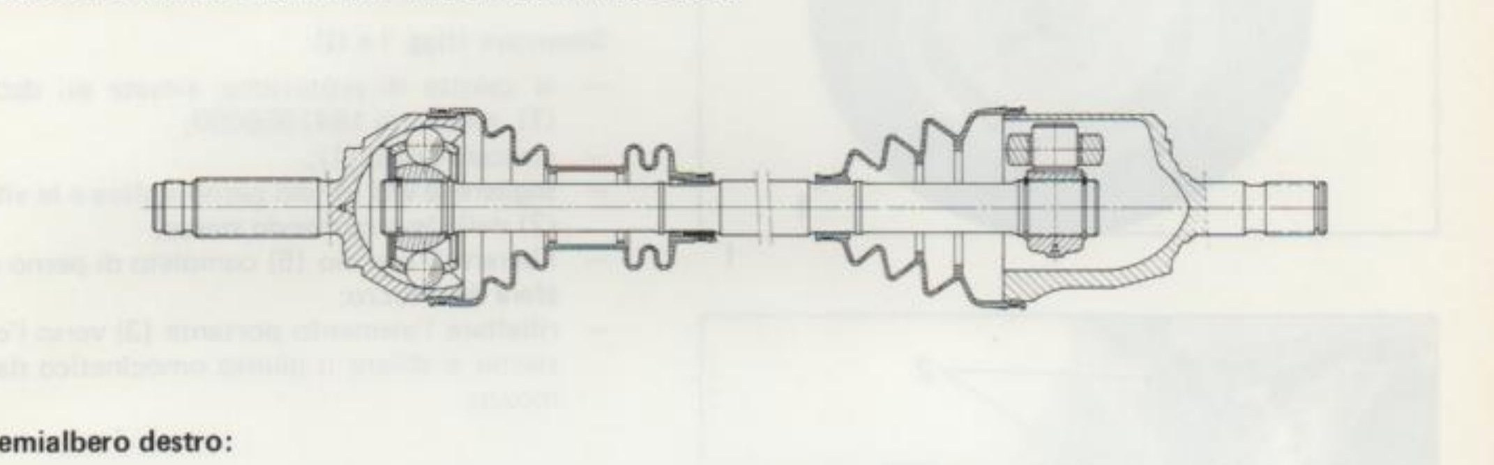 Semialbero sinistro - sezione