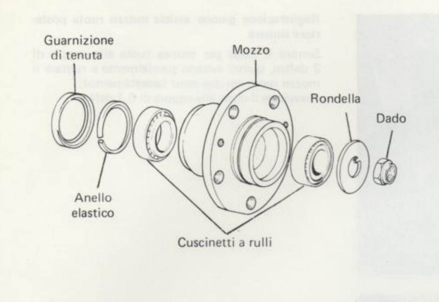Vista esplosa del mozzo posteriore: guarnizione di tenuta, anello elastico, cuscinetti a rulli, mozzo, rondella, dado