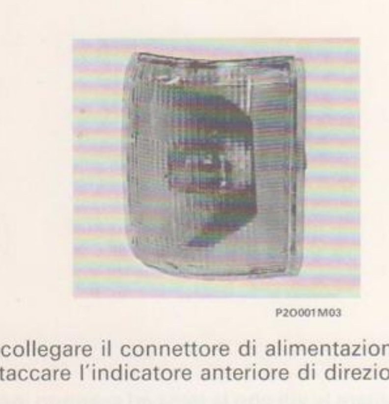 Indicatore anteriore di direzione estratto (P2D001M03)