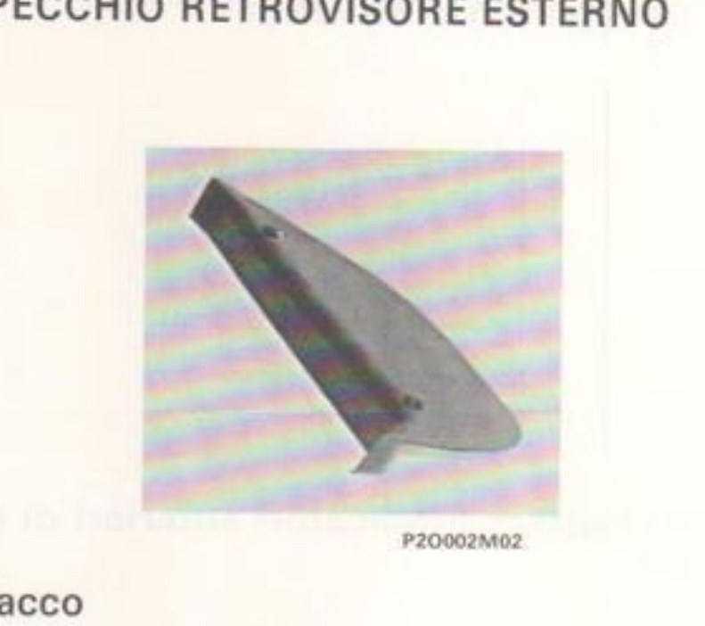 Specchio retrovisore esterno (P2O002M02)
