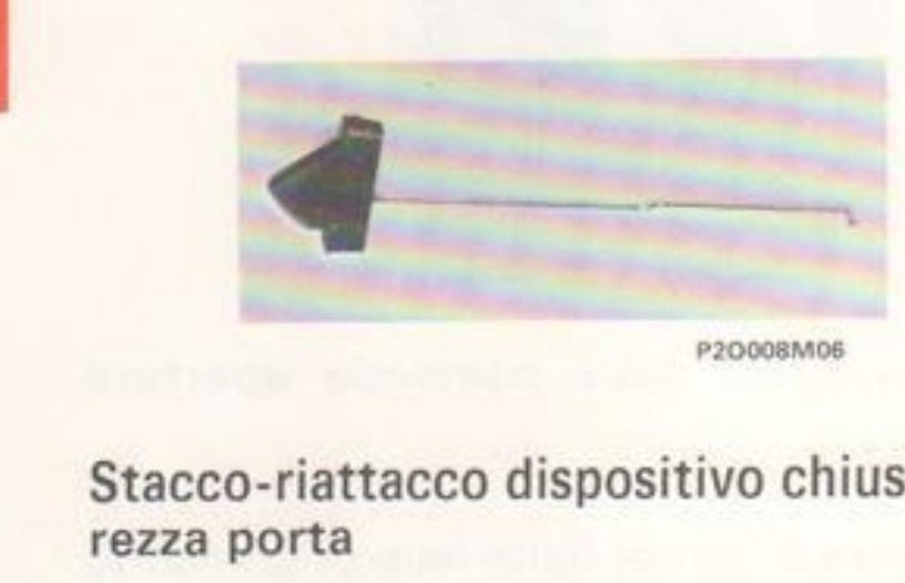 Mostrina del dispositivo di chiusura (P2O008M06)