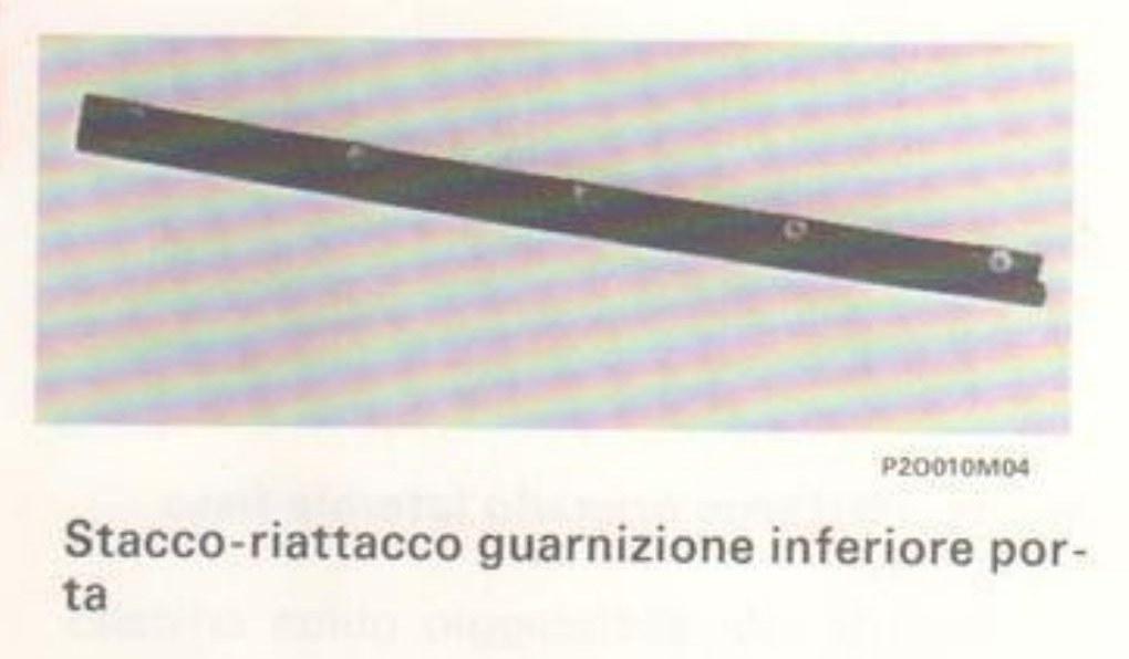 Guarnizione inferiore porta (P20010M04)