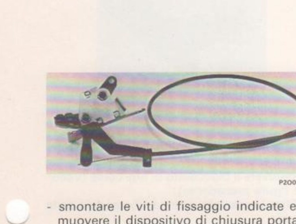 Dispositivo di chiusura porta con flessibile di comando (P2OO13M06)