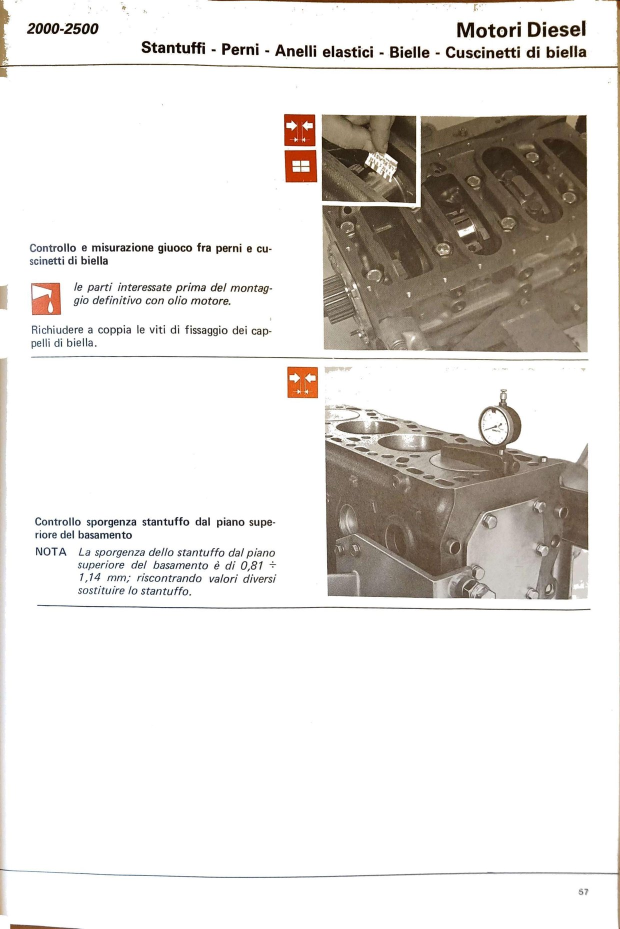 p54