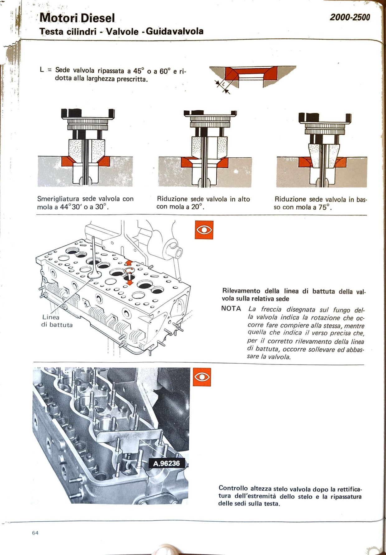 p61