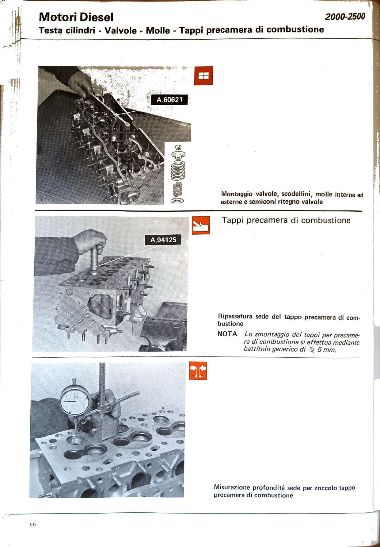 p63