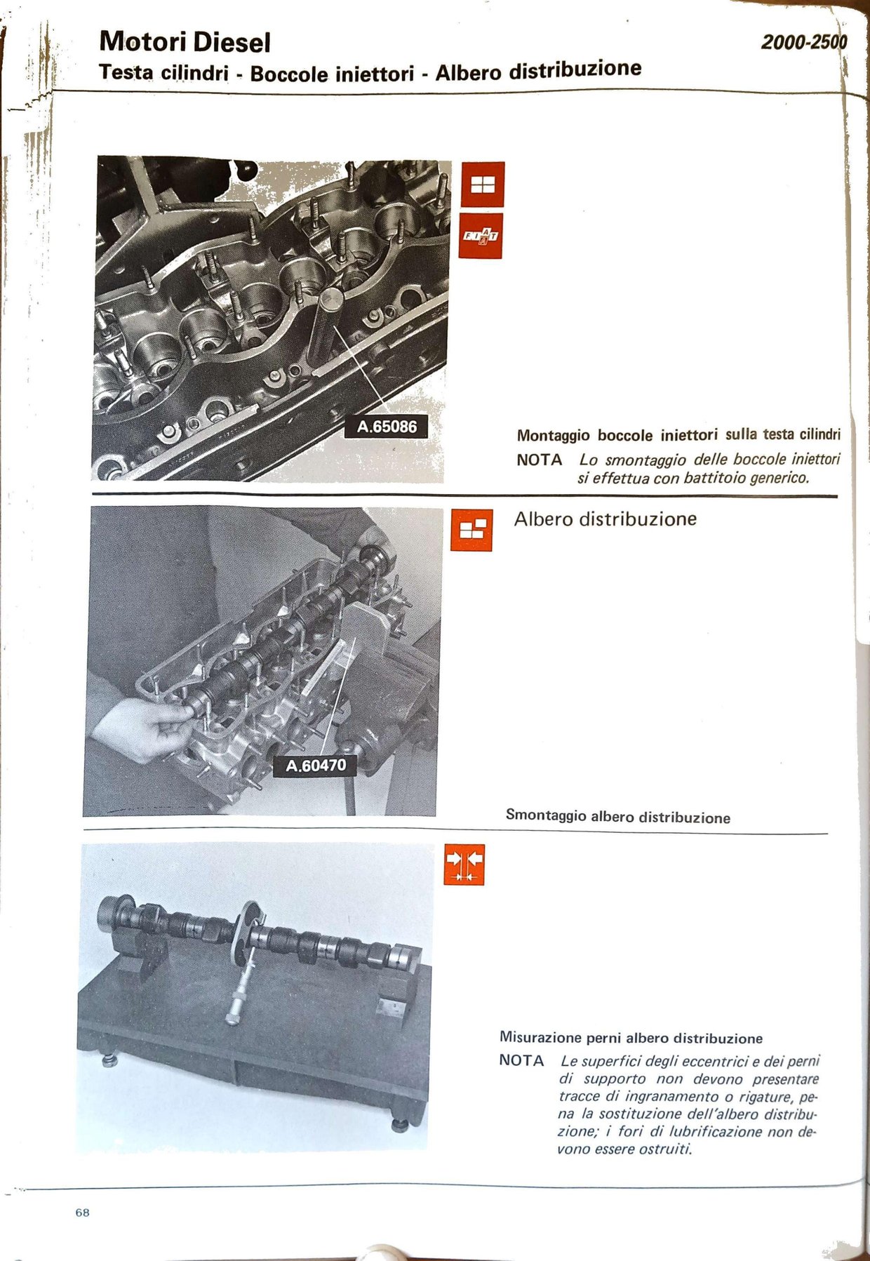 p65