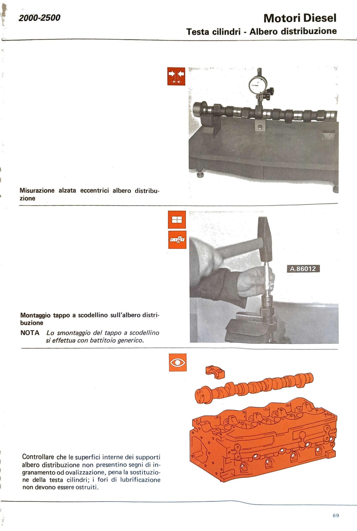 p66