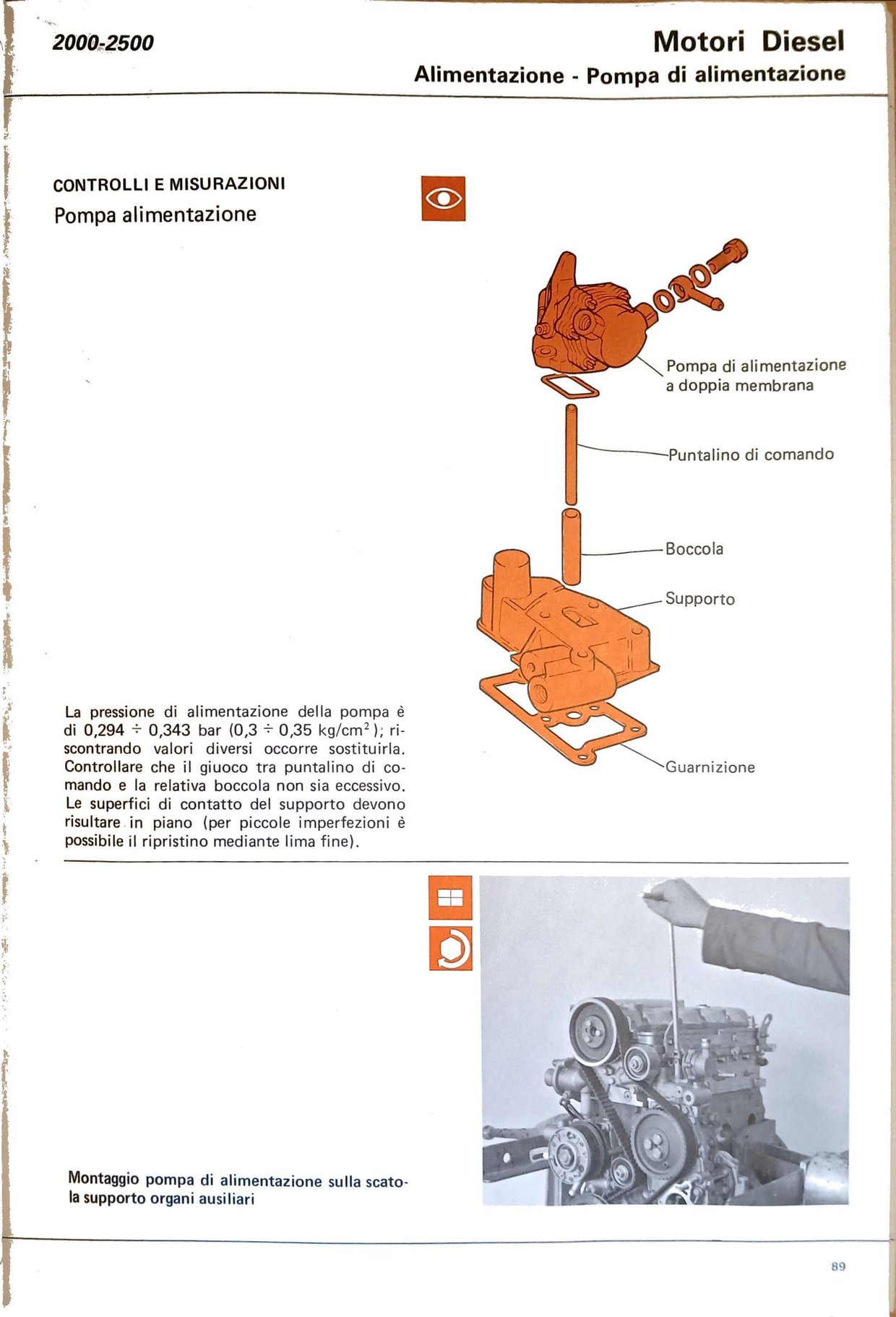 p86
